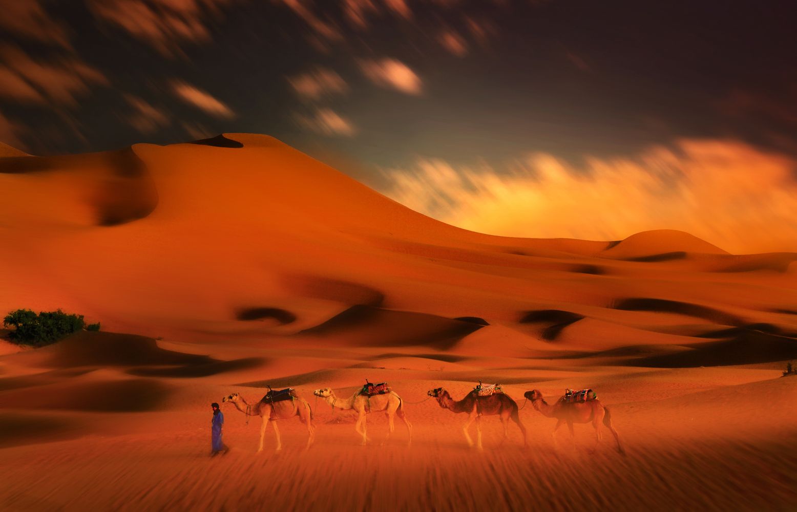 Caravana de dromedarios en las dunas de Erg Chebbi, Merzouga