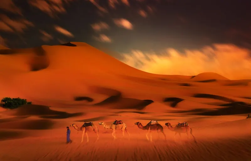Caravana de dromedarios cruzando las dunas de Erg Chebbi al atardecer
