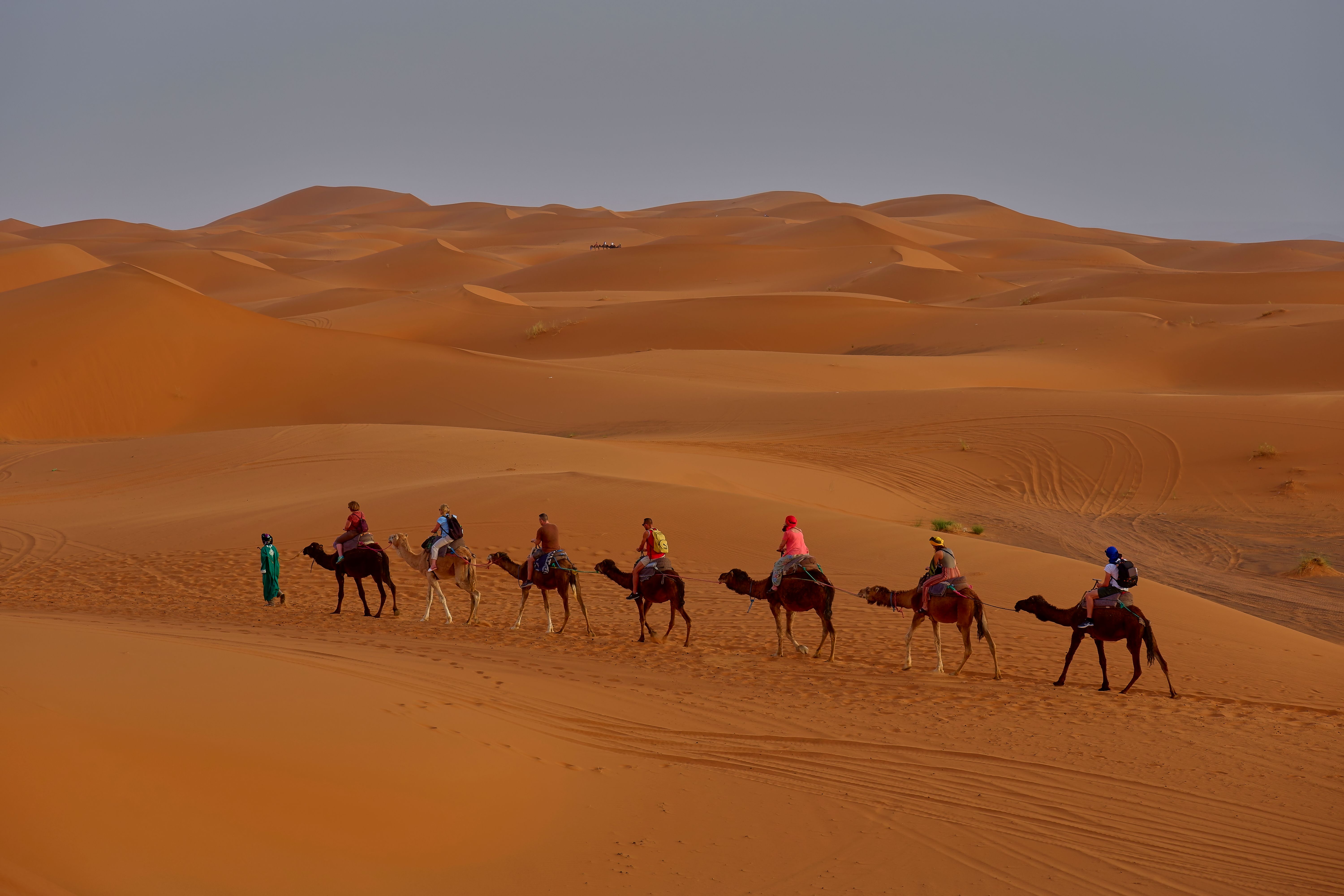 Turistas montando en dromedario por las dunas del desierto