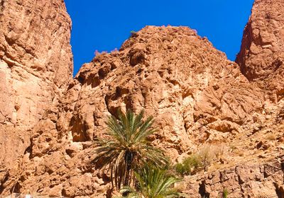 Palmeral del Valle del Ziz cerca de Erfoud