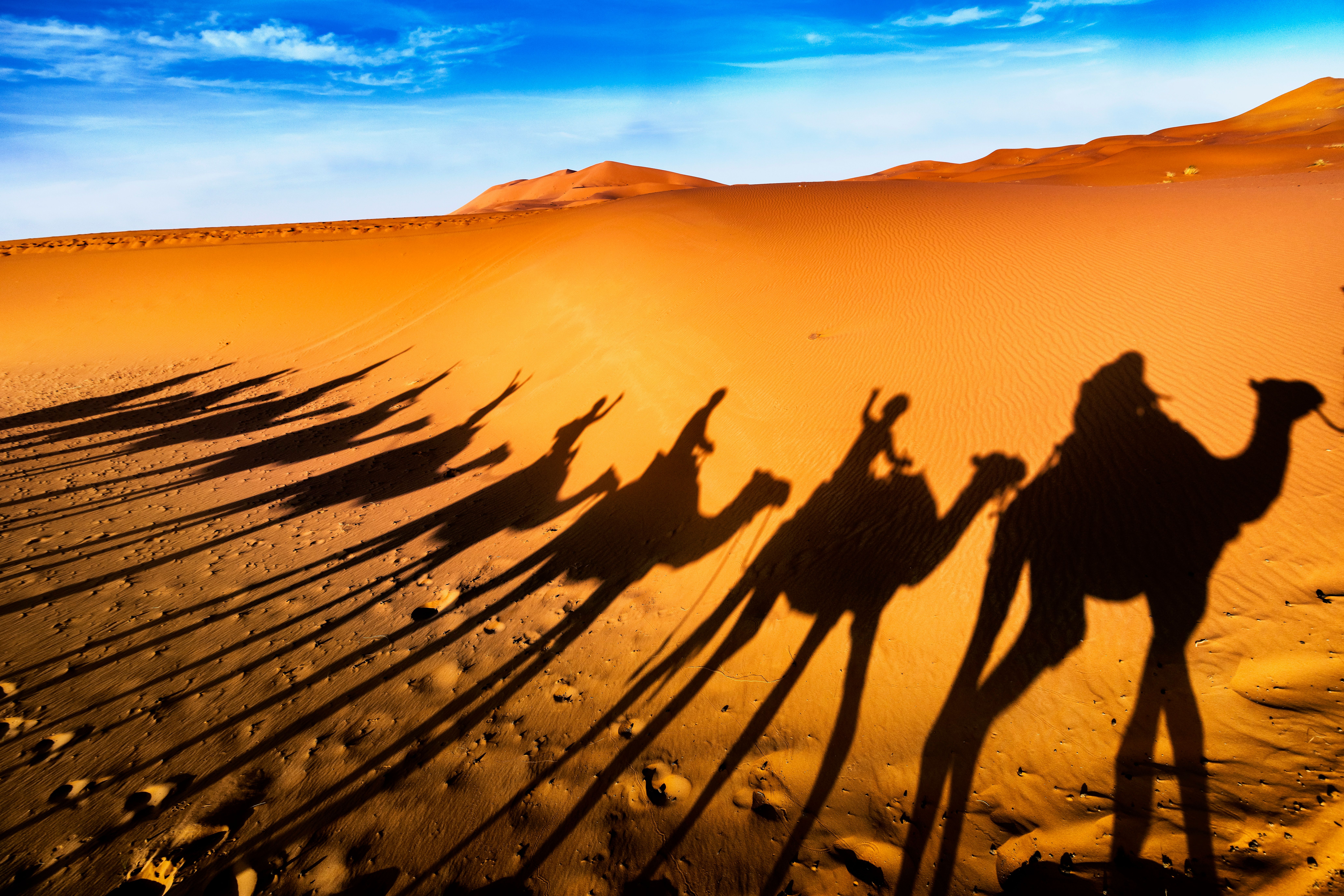 Sombras de turistas montando en dromedario sobre las dunas de Merzouga